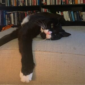 12/31/25 Live Show Item